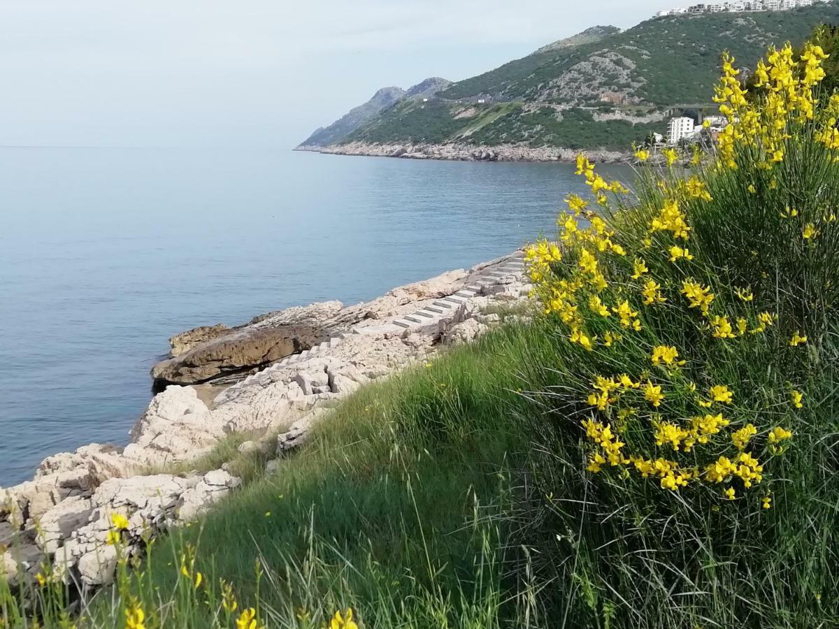 Apartman Marinkovic Dobra Voda Kültér fotó